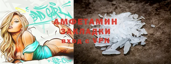 шишки Заволжье